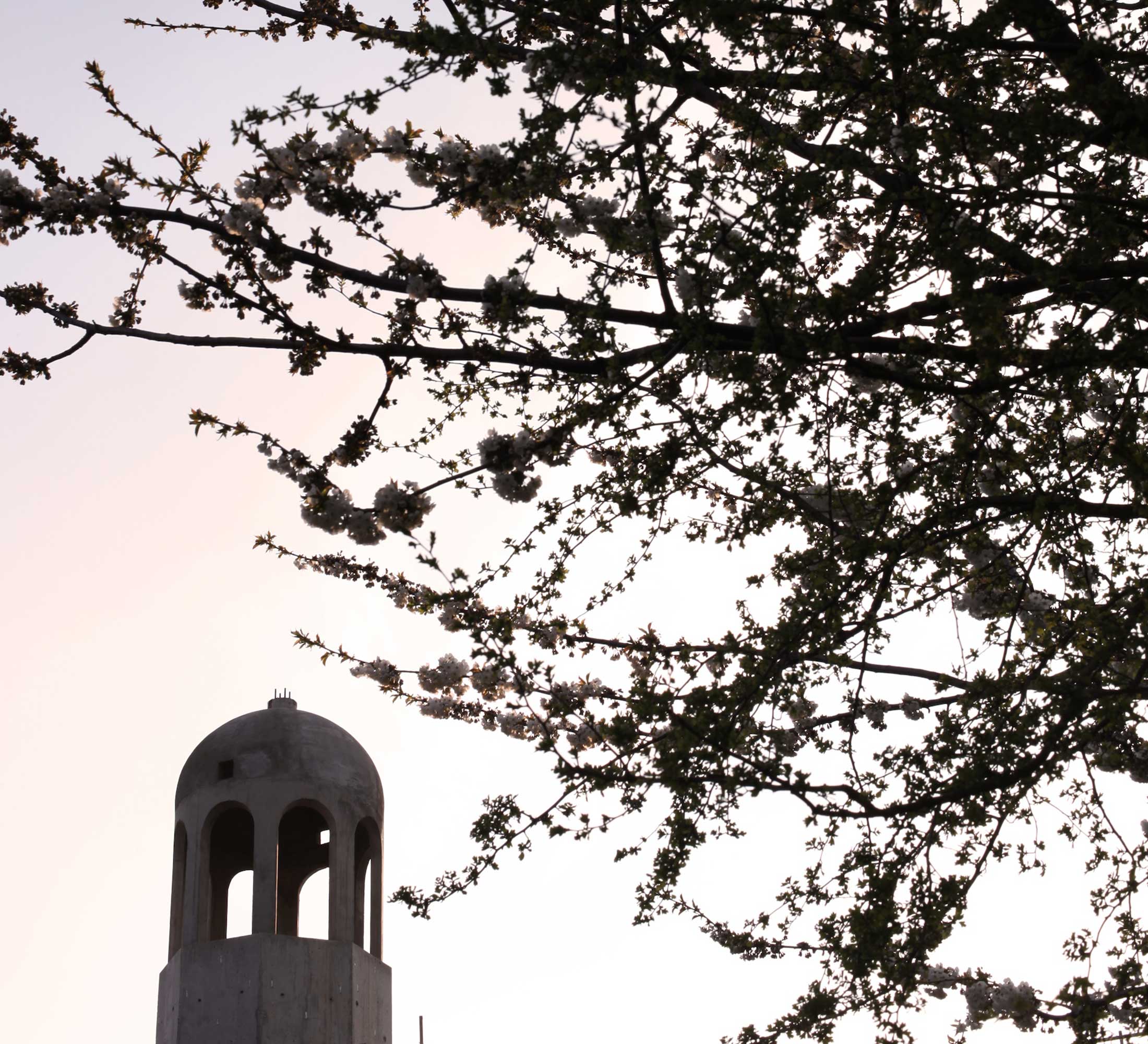 Barnet Commercial Architects